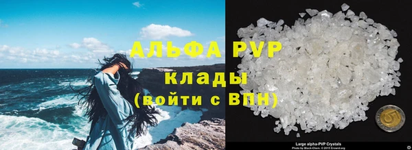 амф Карпинск