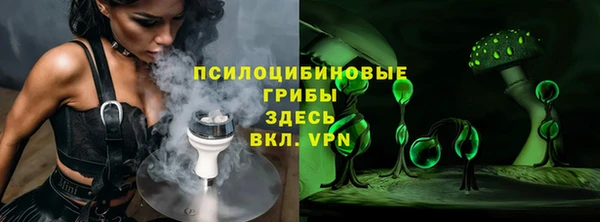 амф Карпинск