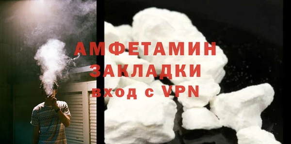 индика Каменногорск