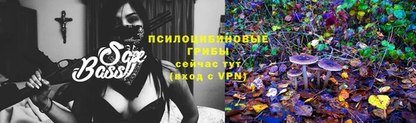 амф Карпинск