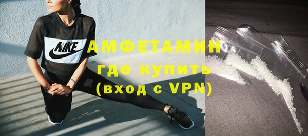 индика Каменногорск