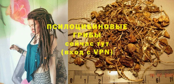 apvp Касимов