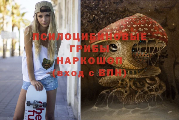 амф Карпинск